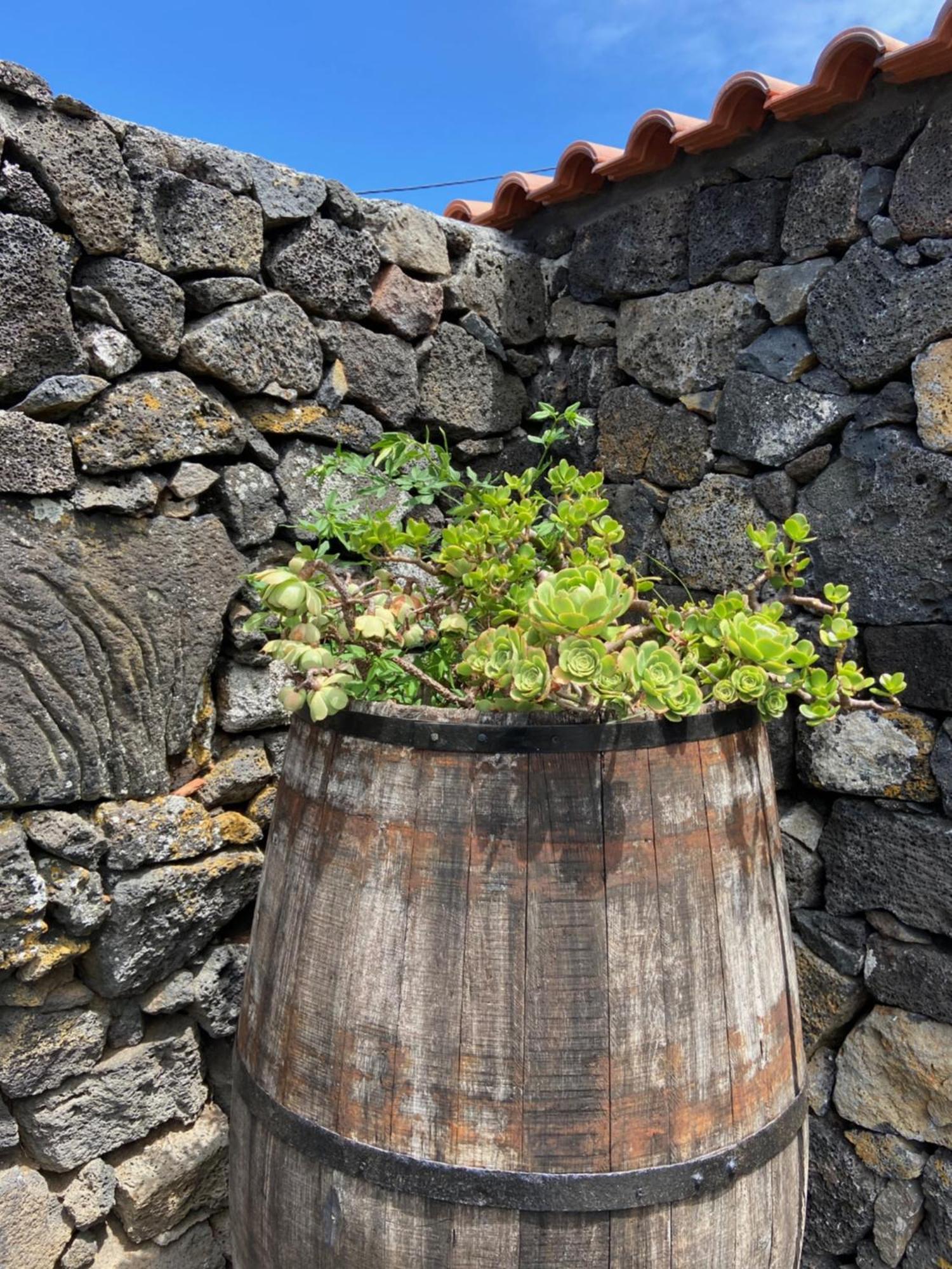 Adega Do Fogo Villa Sao Roque do Pico Exterior photo